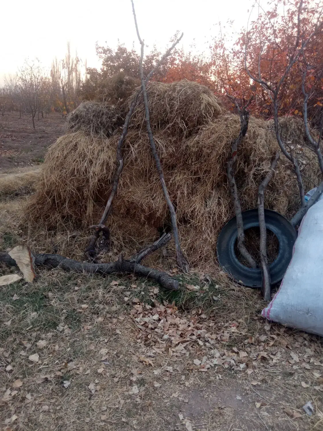 علوفه باغی|لوازم جانبی حیوانات|مشگین شهر, |دیوار