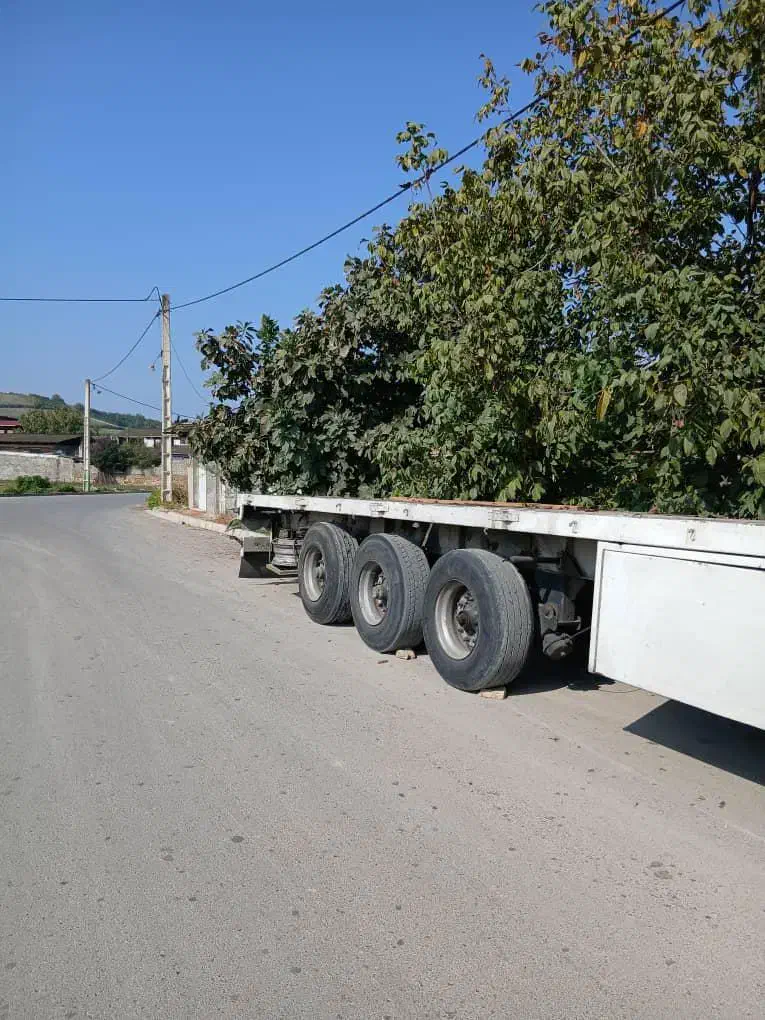 کف ۱۳.۶۰. ایران کاوه|خودرو سنگین|سورک, |دیوار