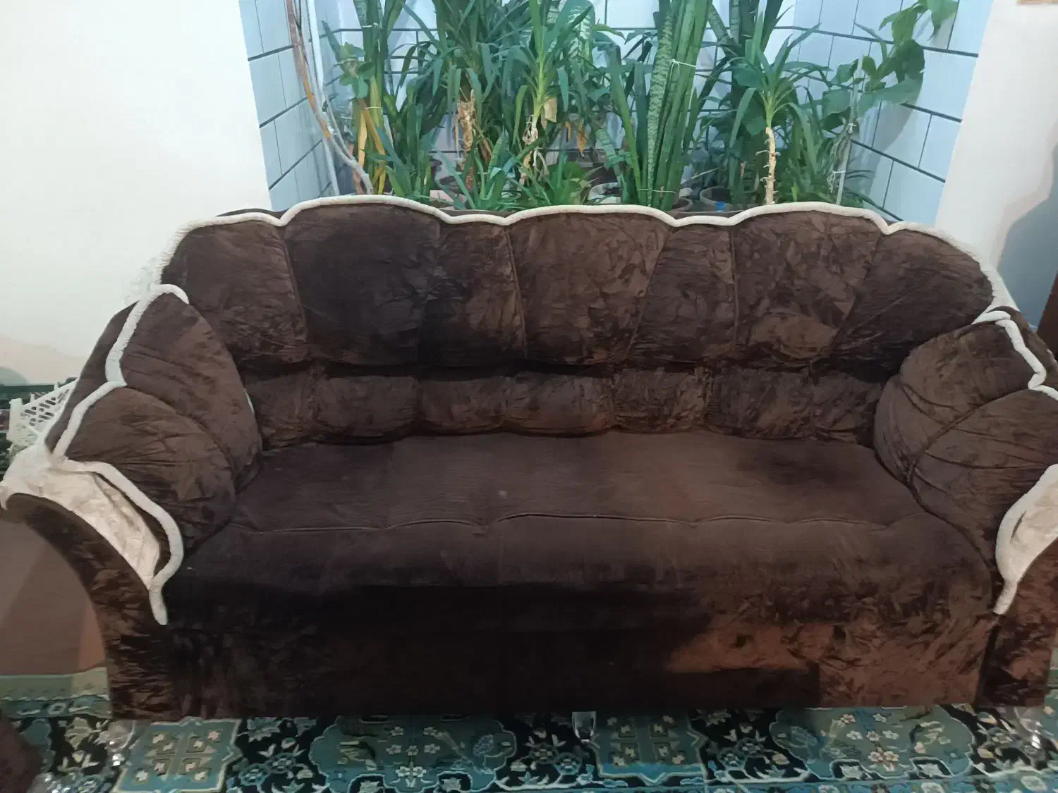 سرویس مبلمان|مبلمان خانگی و میز عسلی|دوگنبدان, |دیوار