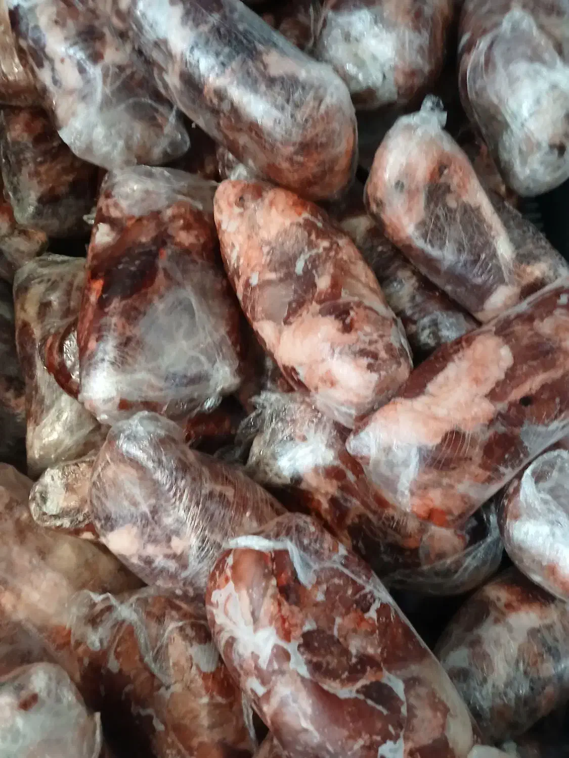 سر دست و گردن|خوردنی و آشامیدنی|شیراز, علی آباد|دیوار