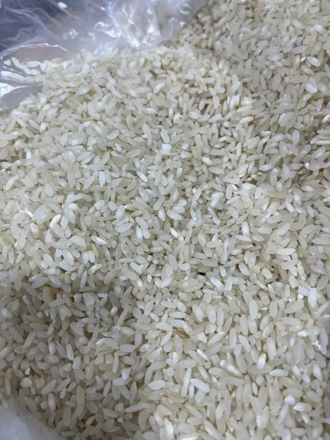 برنج کامفیروزی|عمده‌فروشی|شیراز, دروازه اصفهان|دیوار