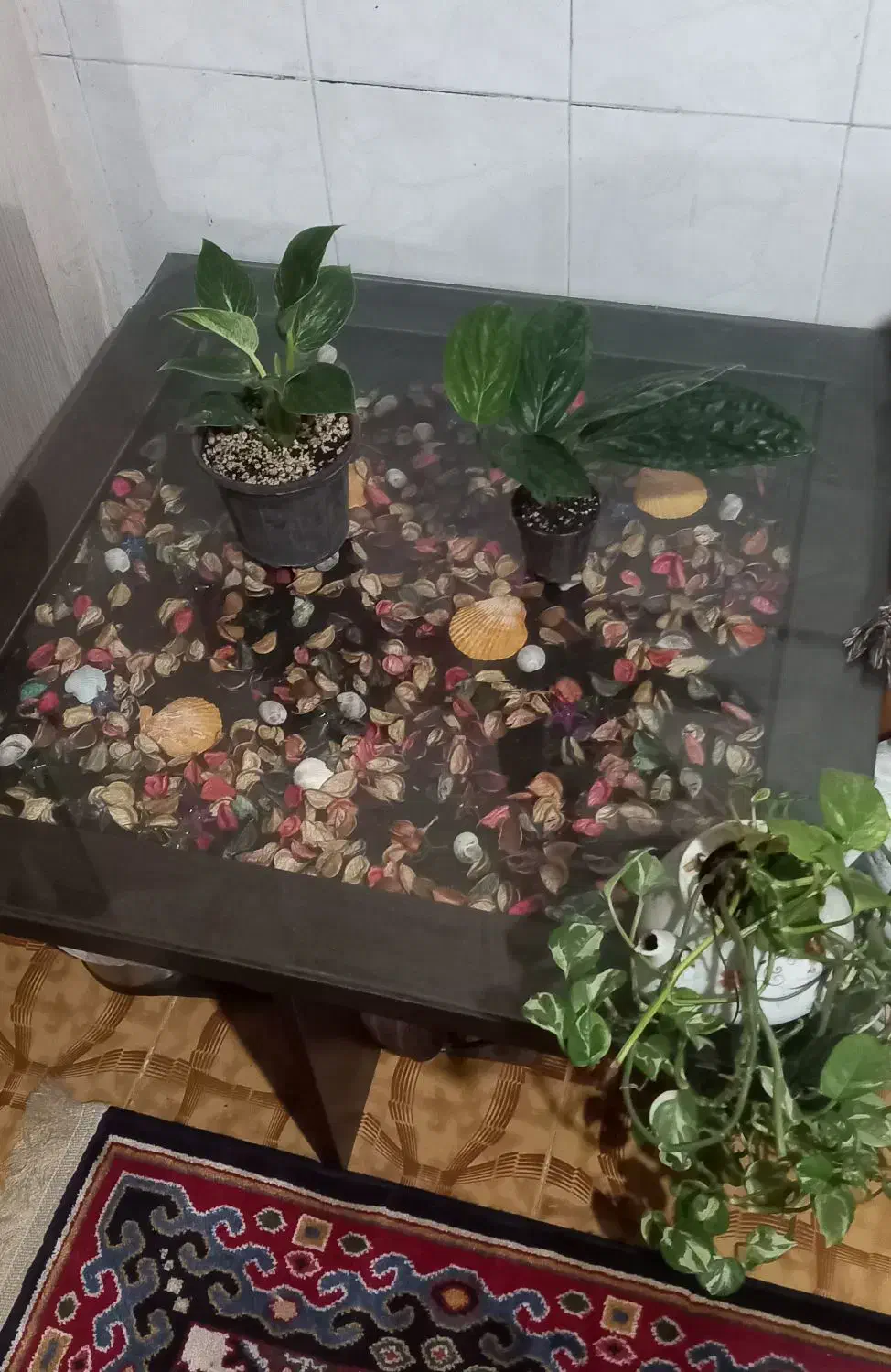 میز وسط|مبلمان خانگی و میز عسلی|آستانه اشرفیه, |دیوار