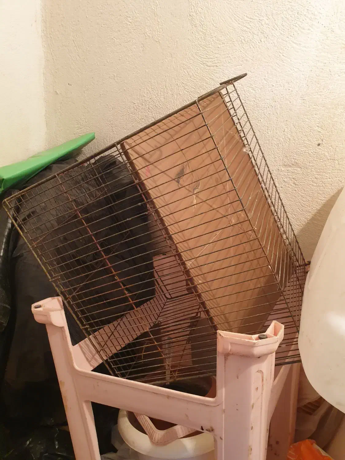 چندعدد قفس پرنده|لوازم جانبی حیوانات|رشت, لاکانی|دیوار