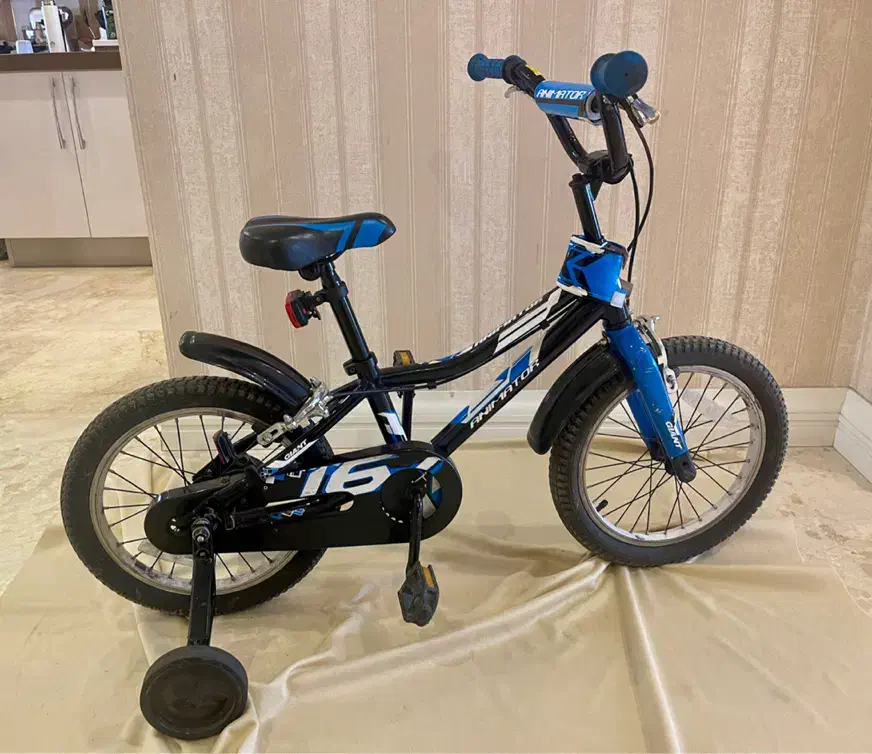 دوچرخه بچه گانه جاینت سایز ۱۶|دوچرخه، اسکیت، اسکوتر|تهران, دروس|دیوار