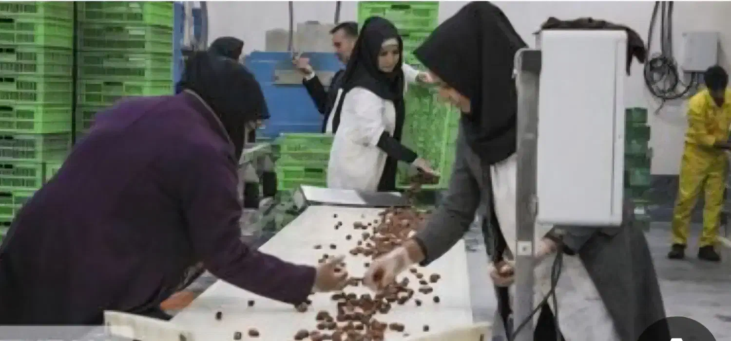 نیروی خانم بسته بندی خرما|استخدام صنعتی، فنی، مهندسی|بم, |دیوار