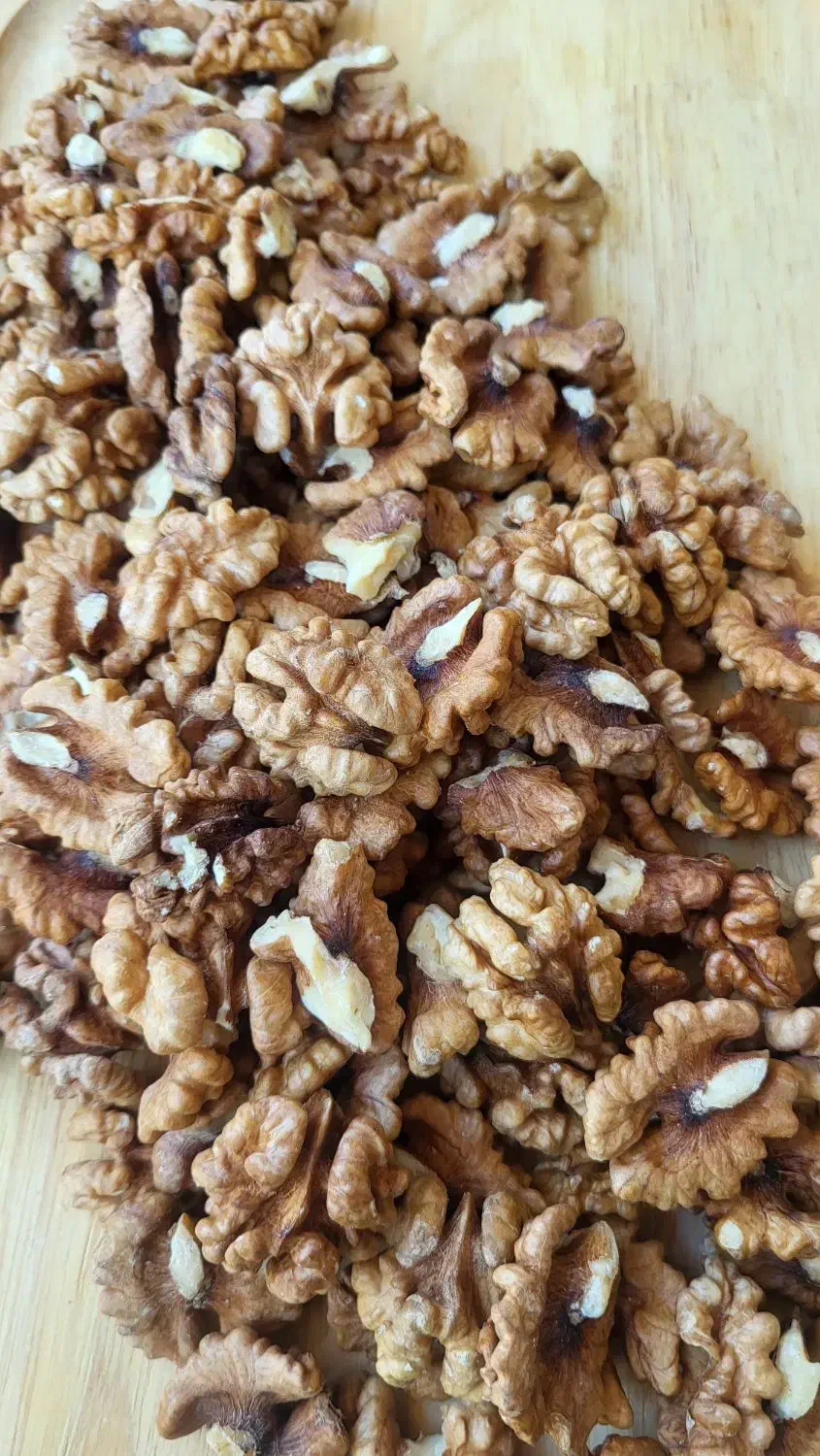 مغز گردو اعلا|خوردنی و آشامیدنی|هشتگرد, مدرس|دیوار