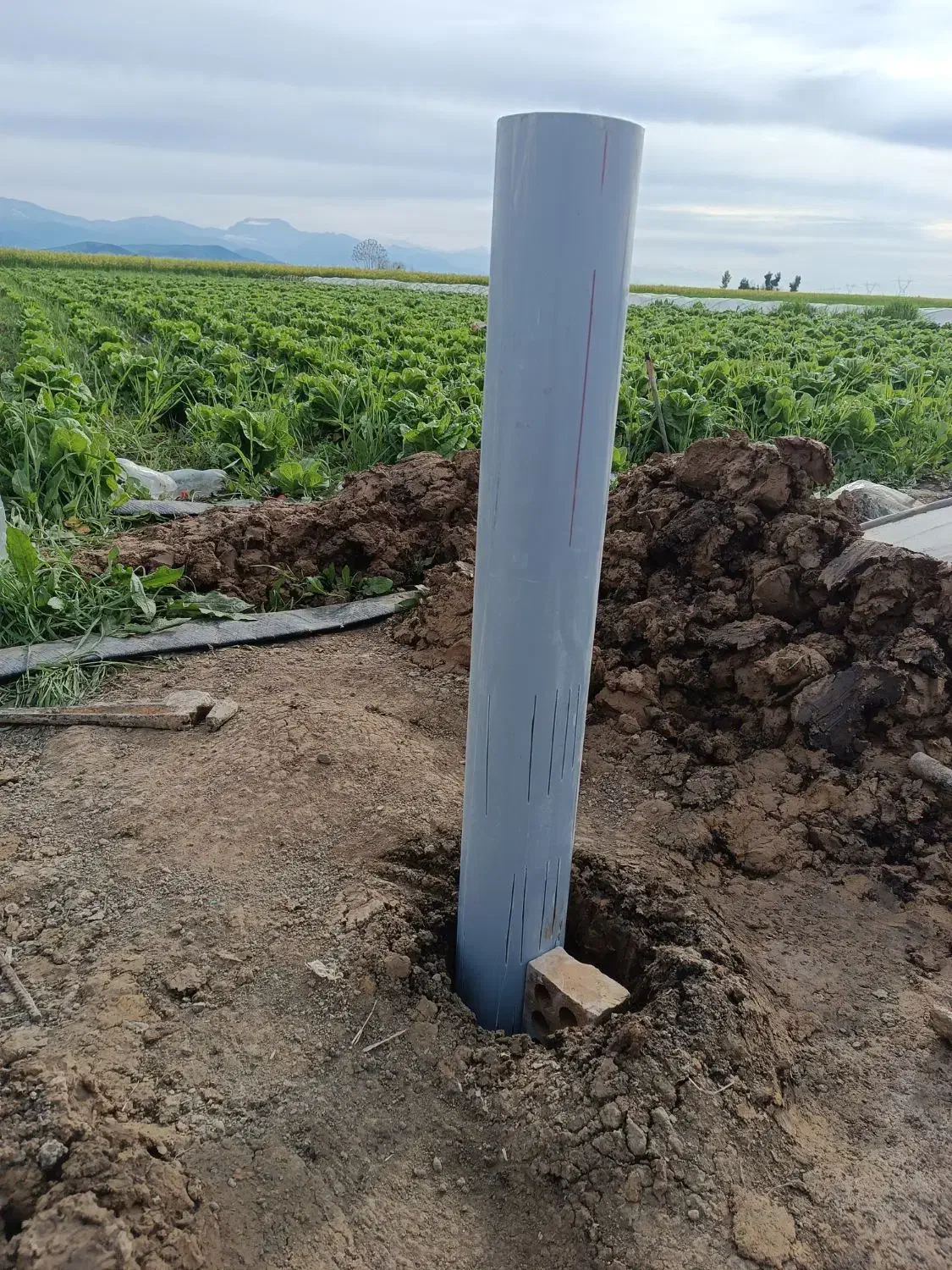 چاه مته ای دستی|خدمات پیشه و مهارت|گنبد کاووس, |دیوار