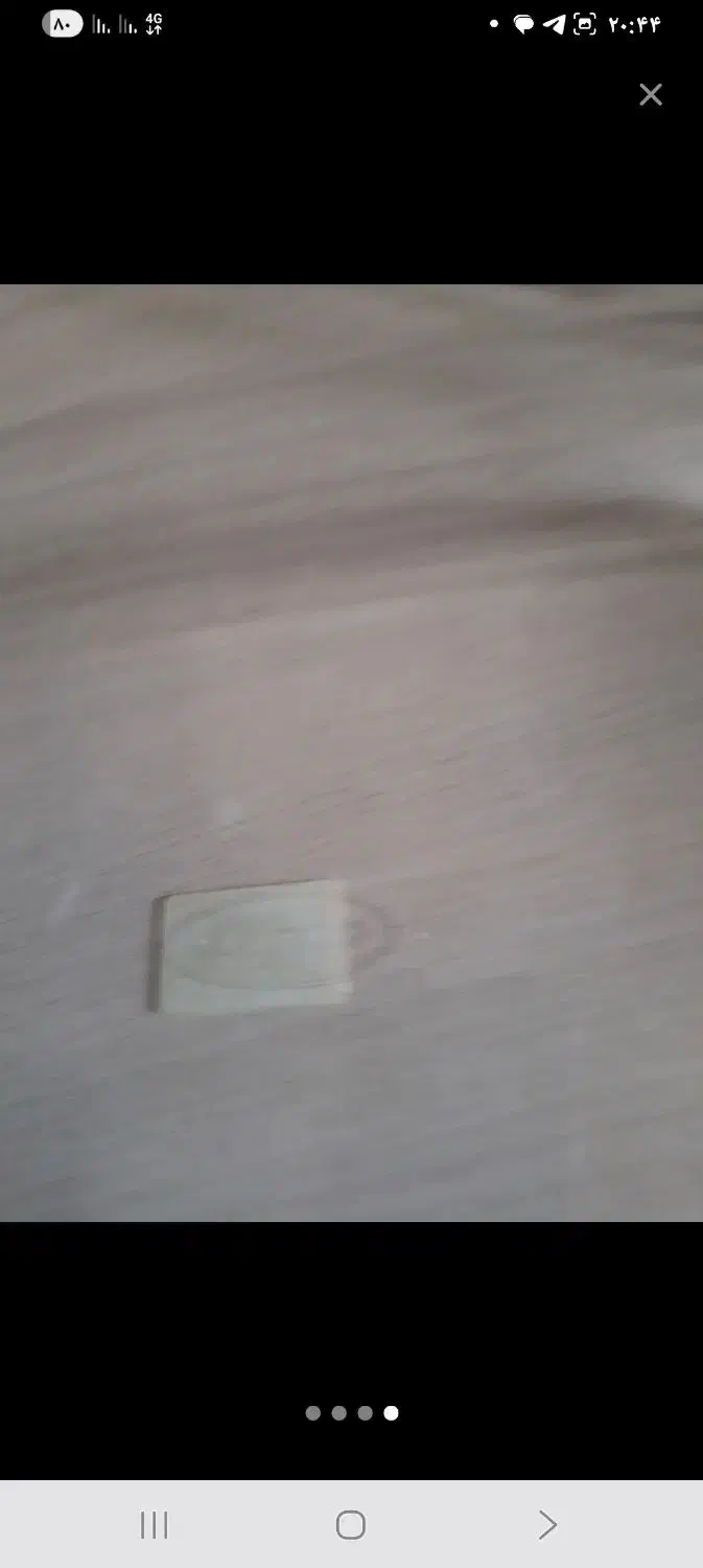 مرغ خوری فرانسه|ظروف سرو و پذیرایی|اردبیل, |دیوار