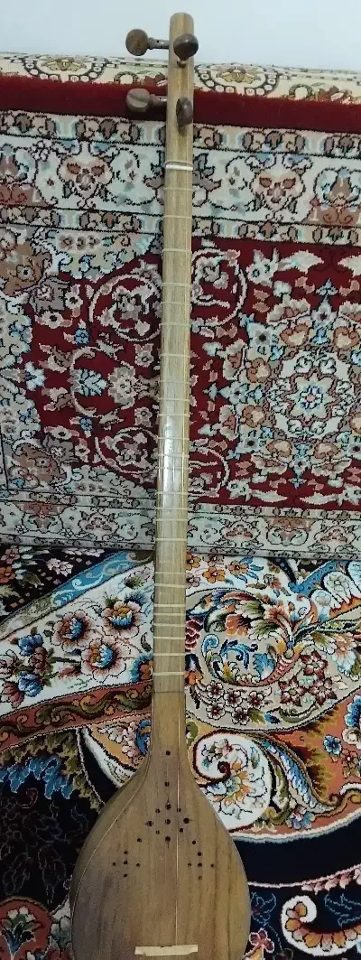 سه تار|سازهای سنتی|همدان, |دیوار
