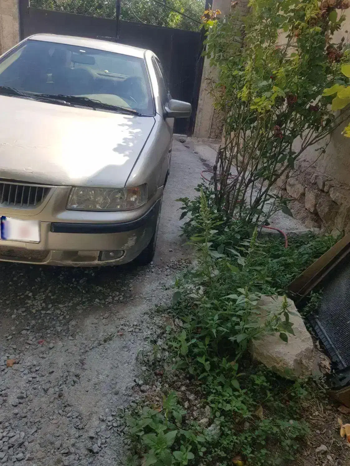 سمند۸۲ دوگانه دستی|خودرو سواری و وانت|نمین, |دیوار