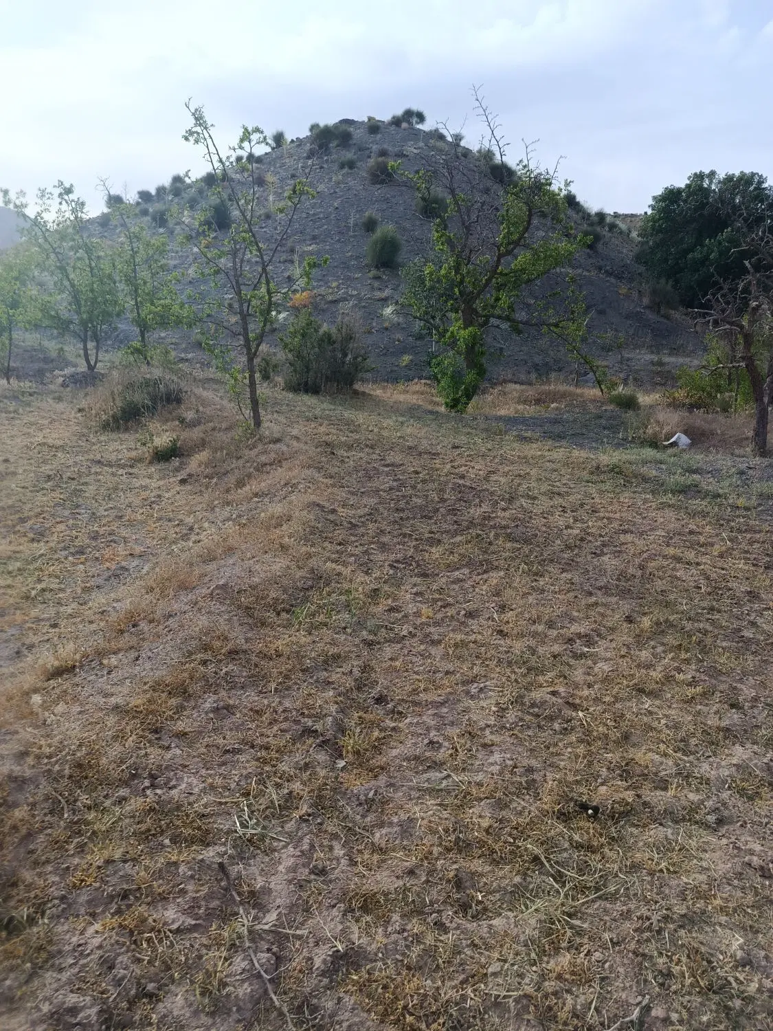 تصویر 12