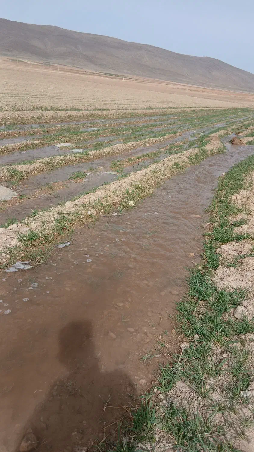 فروش زمین کشاورزی|فروش دفتر صنعتی، کشاورزی، تجاری|سمیرم, |دیوار