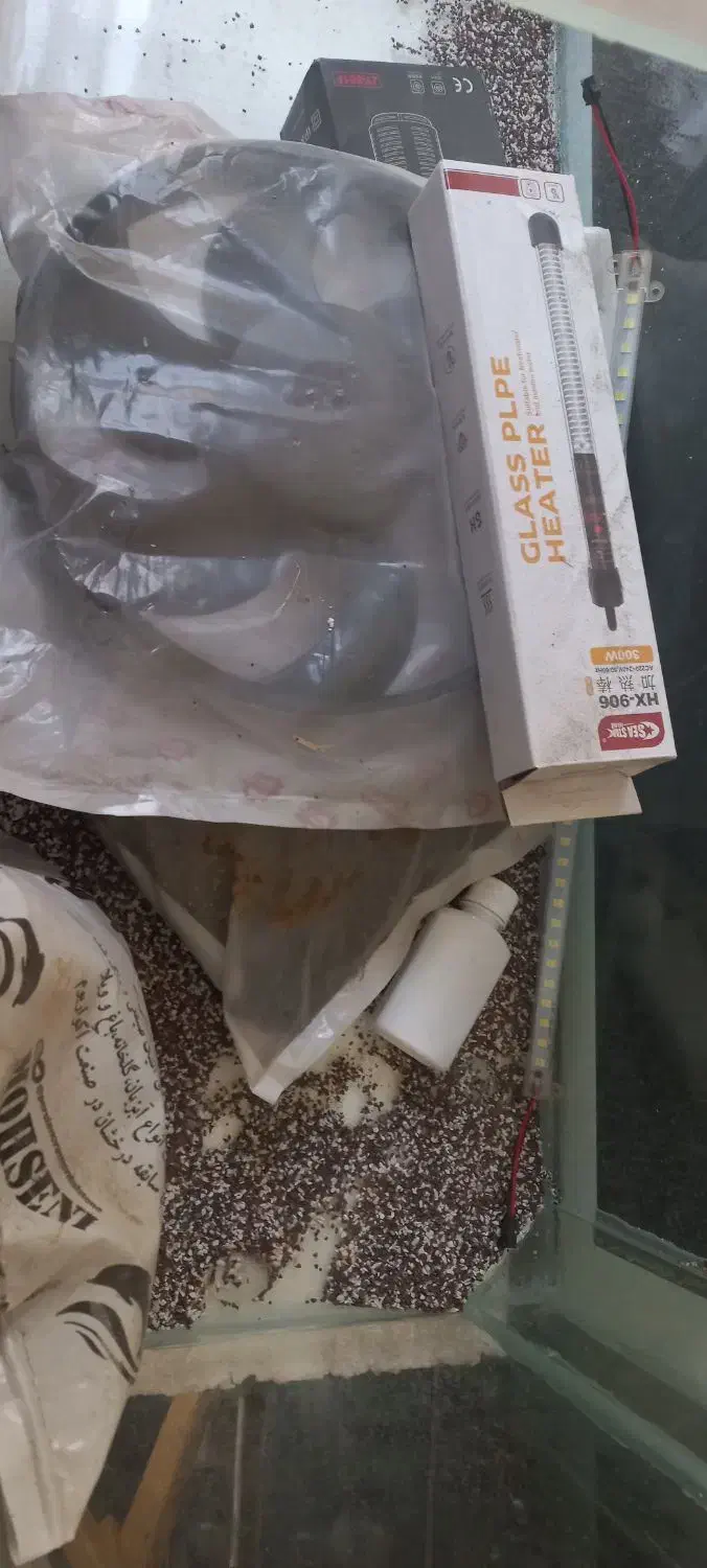 آکواریوم|ماهی|کاشان, قطب راوندی|دیوار