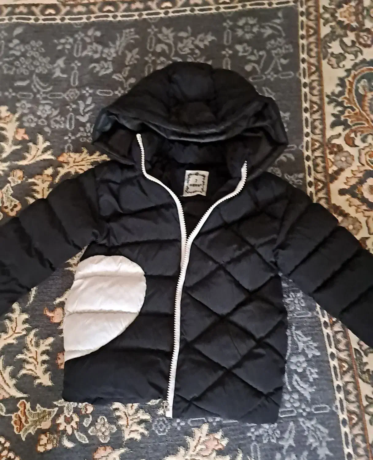 کاپشن خارجی نو ۳۰۰|لباس|هشتگرد, شهرک گلخانه|دیوار