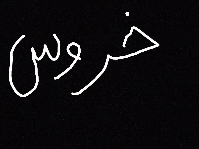 کفتر|حیوانات مزرعه|بیجار, |دیوار