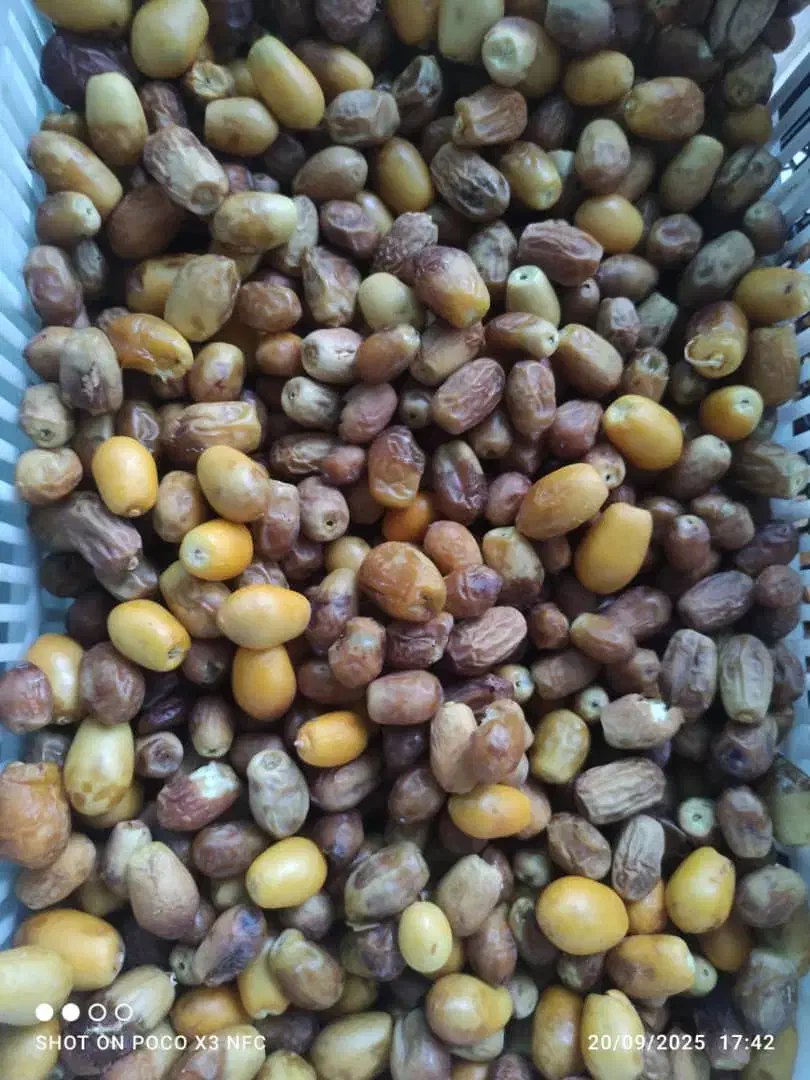 محصولات ارگانیک محلی خونگی جنت شهر|خوردنی و آشامیدنی|جنت, |دیوار