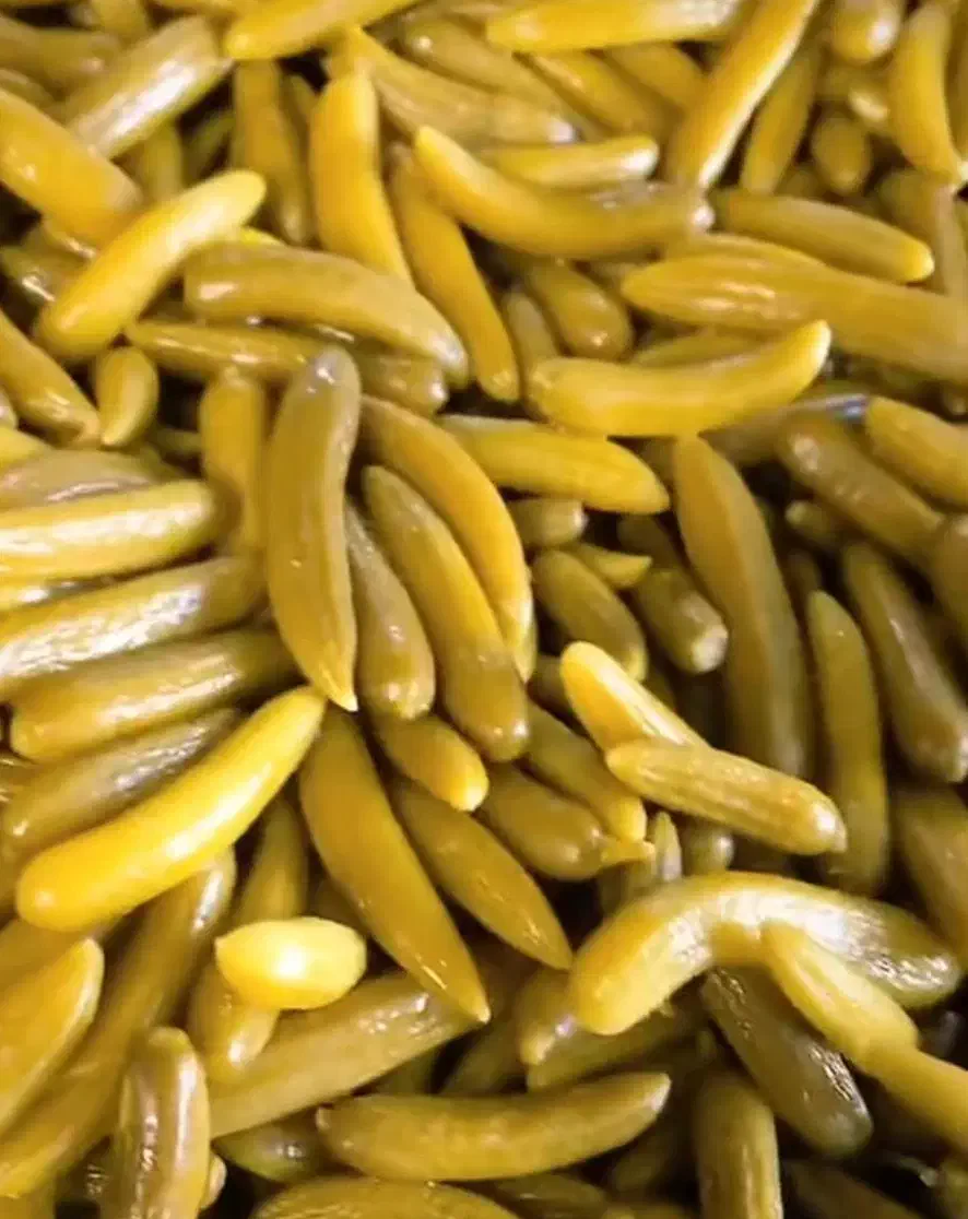 ترشی وخیارشور به صورت عمده|خوردنی و آشامیدنی|اهواز, فرهنگ شهر|دیوار