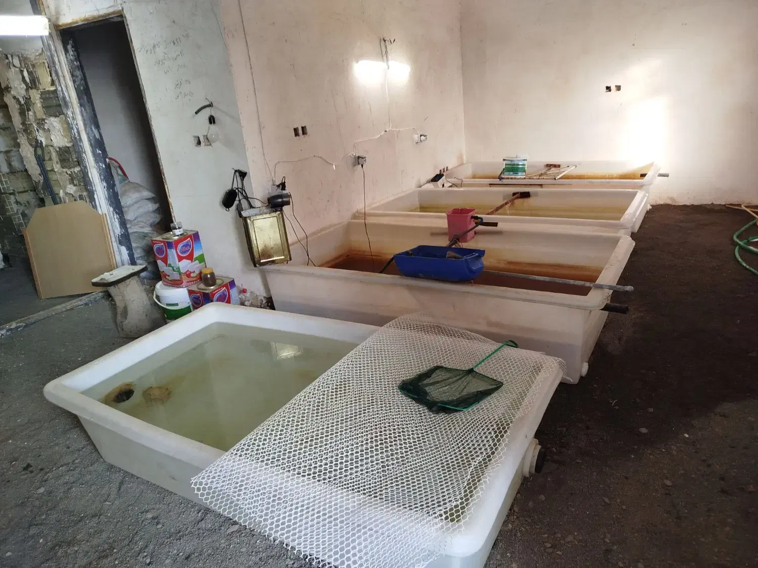 وان|ابزارآلات|قم, چهل درخت|دیوار