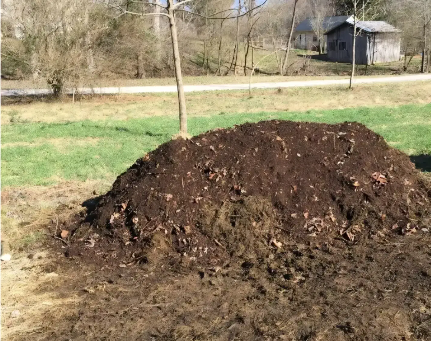 کود حیوانی مناسب باغ وباغچه|خدمات باغبانی و درختکاری|کومله, |دیوار