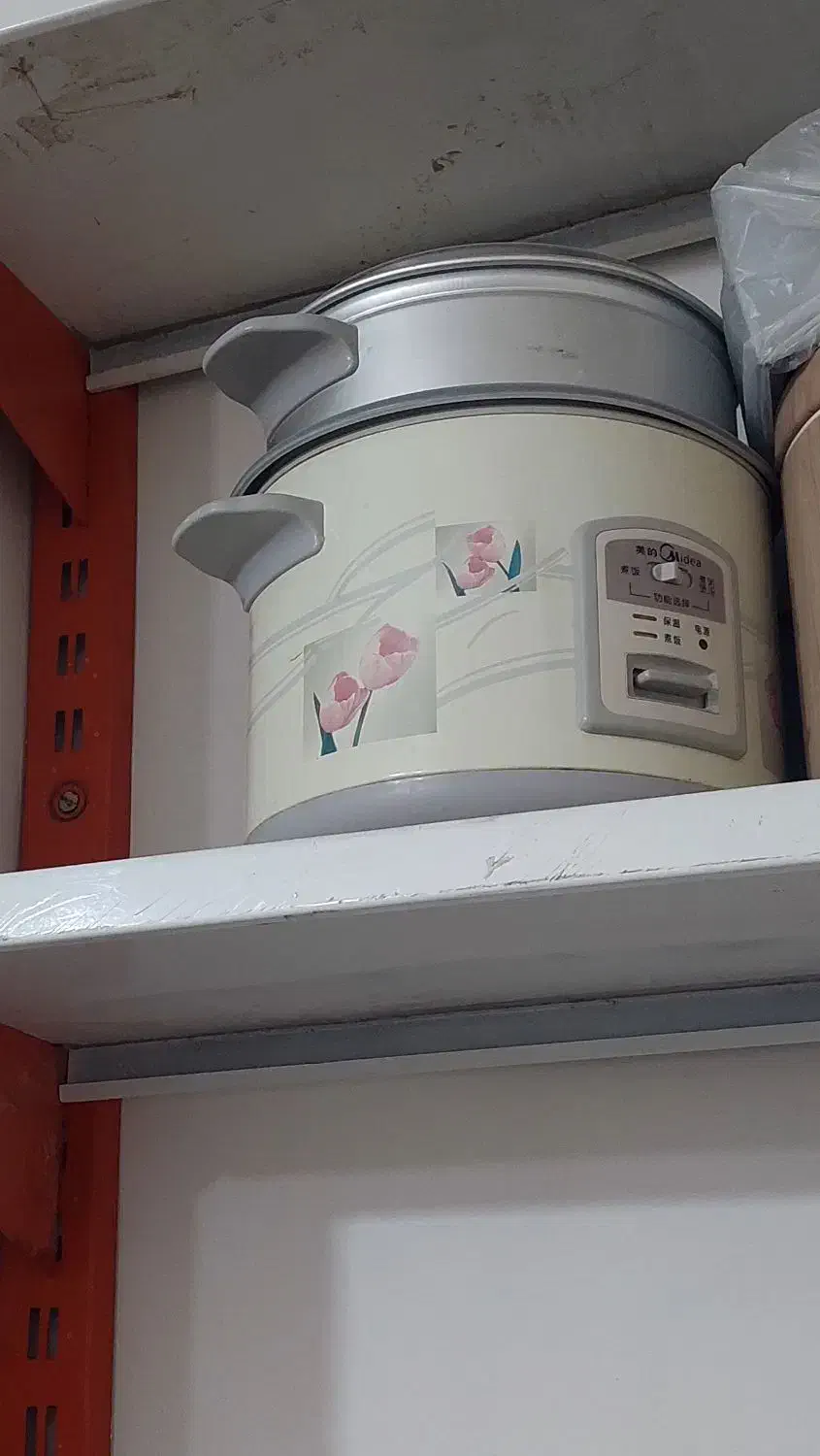 پلو پز در حد نو|اجاق گاز و لوازم برقی پختوپز|سراوان, |دیوار