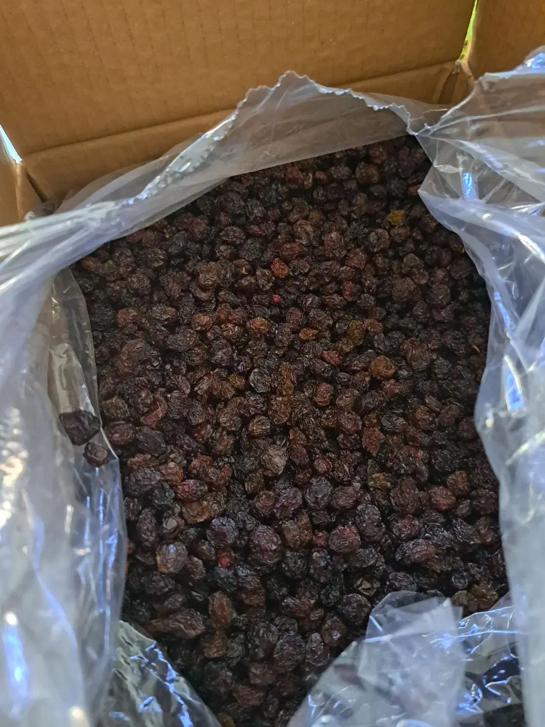 کشمش صادراتی|خوردنی و آشامیدنی|ارومیه, |دیوار