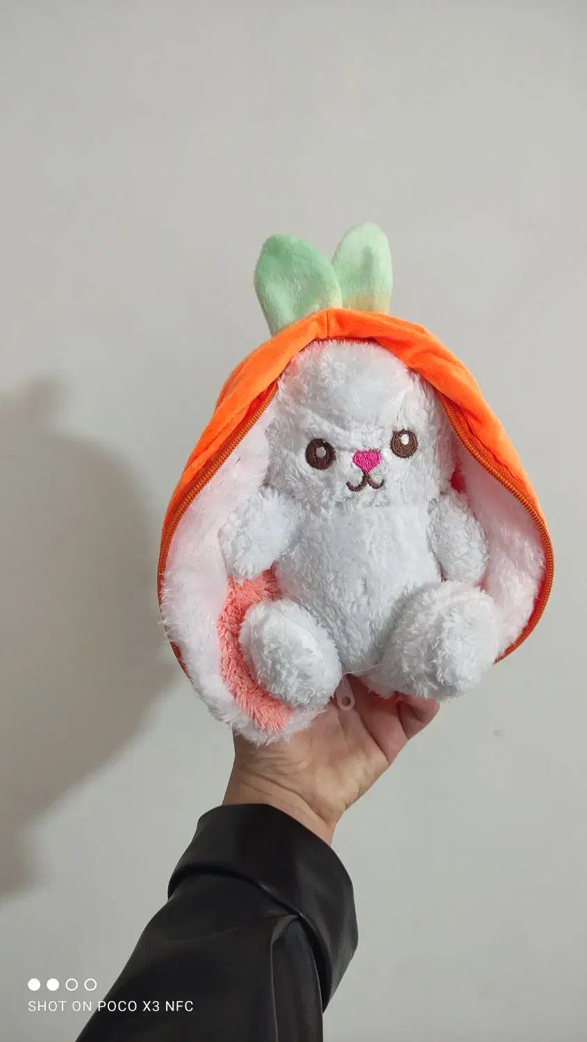 باکس گل و عروسک|گل مصنوعی|بیرجند, |دیوار