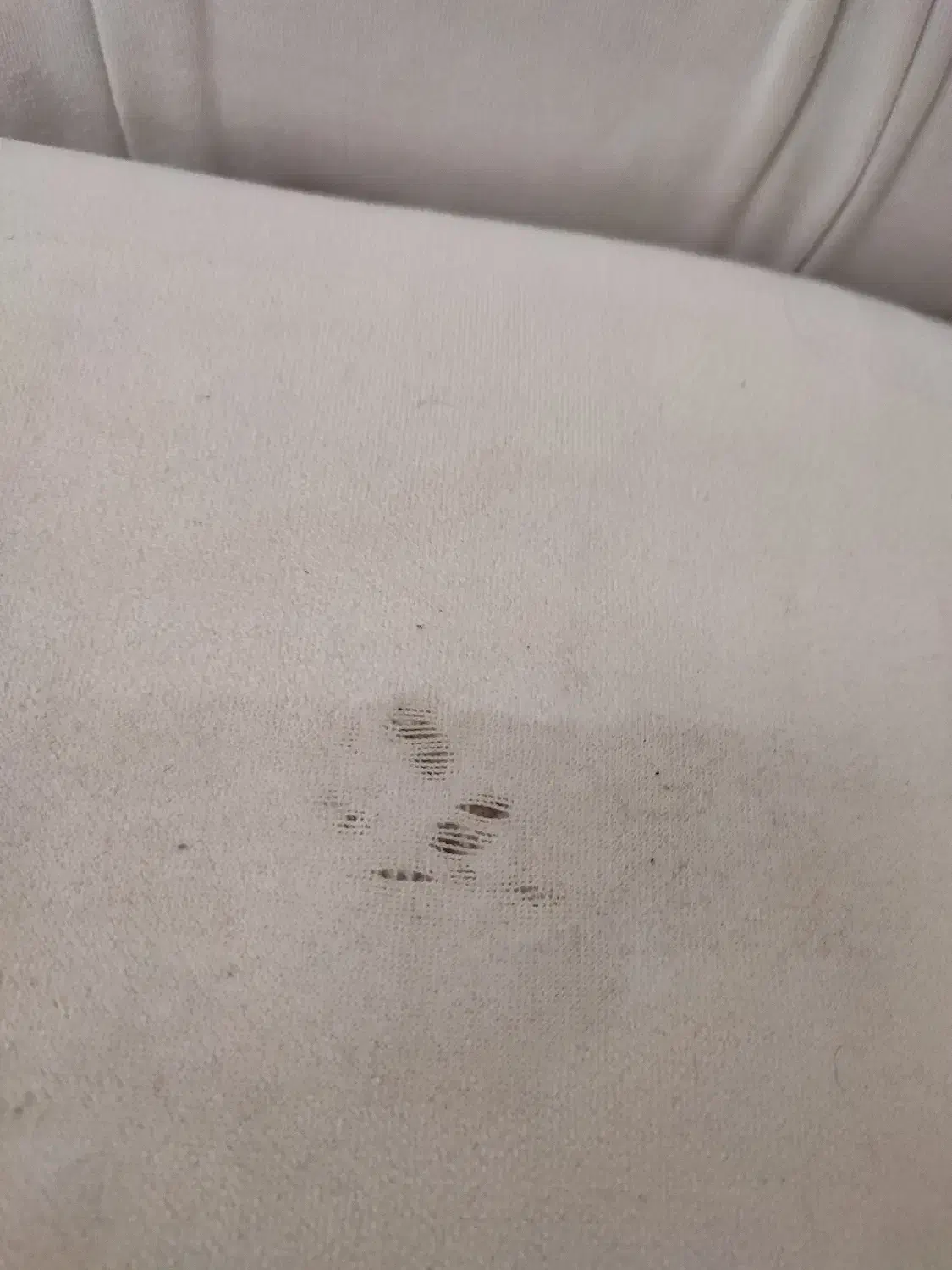 مبل شیش نفره|مبلمان خانگی و میز عسلی|تهران, پونک|دیوار