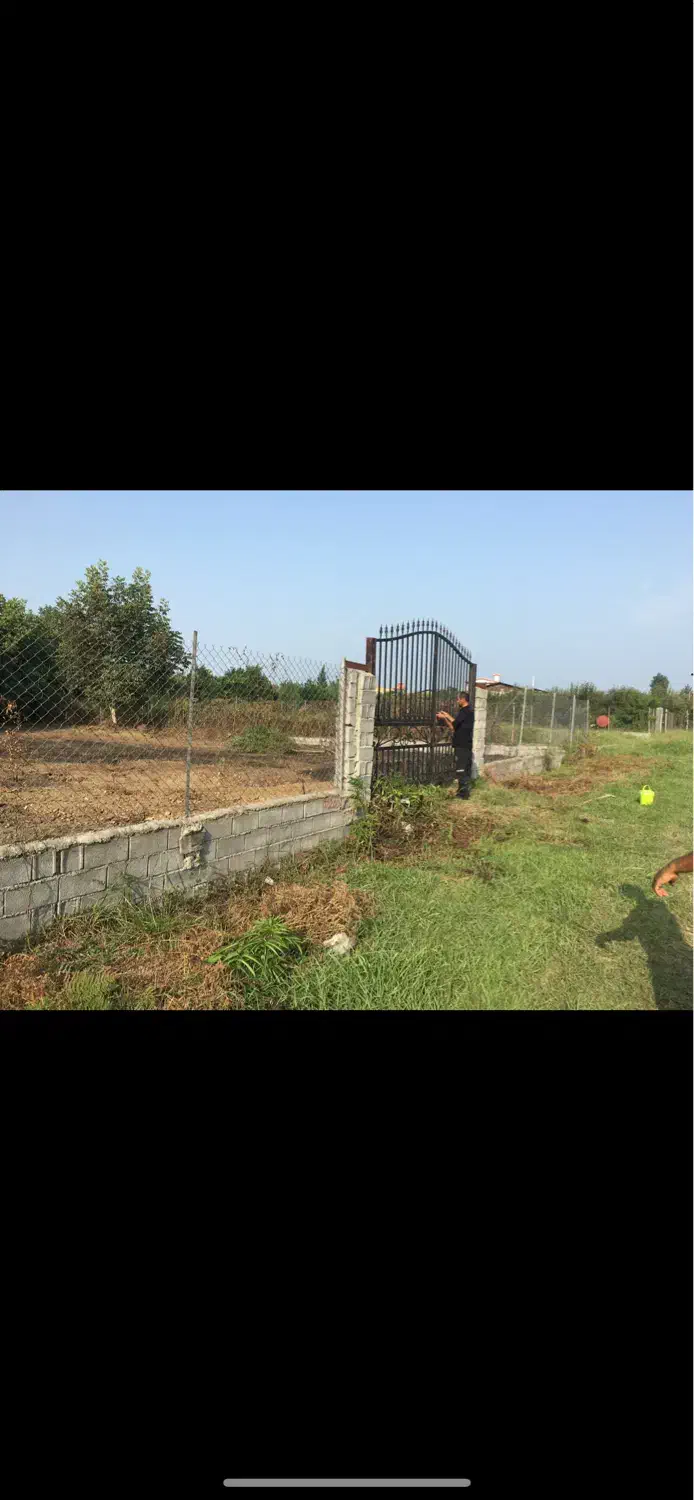 زمین تجاری و گلخانه ای در کوچه ۱۶ متری|فروش زمین و ملک کلنگی|گلوگاه بابل (گلیا), |دیوار
