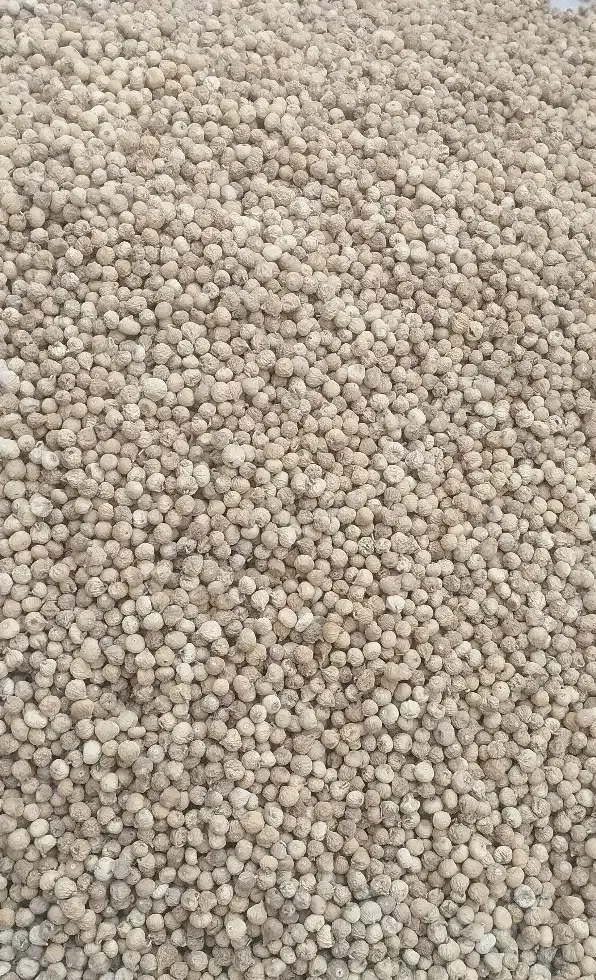 انجیر سالم وارگانیک تویسرکان|خوردنی و آشامیدنی|قم, شهرک امام حسن|دیوار