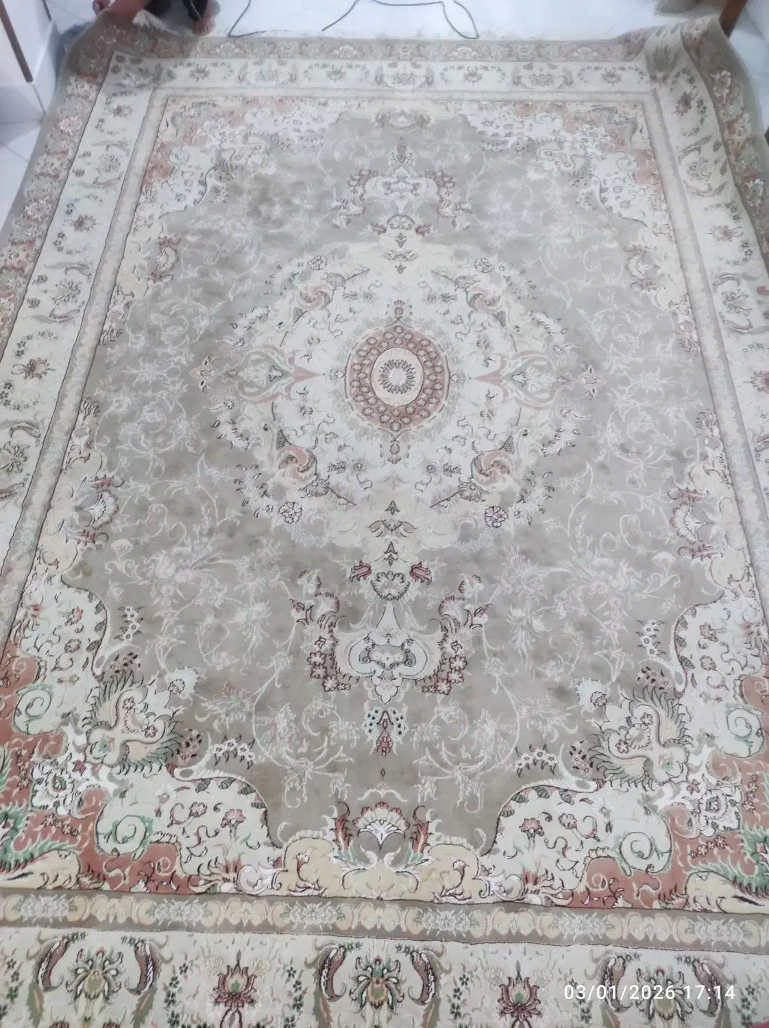 فرش ۱۲ متری|فرش|بیرجند, |دیوار