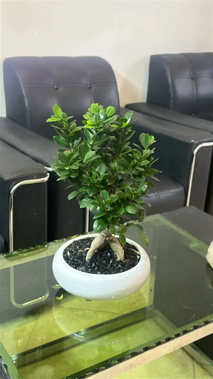 اجاره ۲ باب مغازه تجاری همراه با انباری|اجارهٔ مغازه و غرفه|بوئین و میاندشت, |دیوار