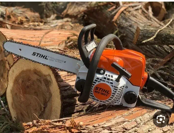 قطع درختان باغی وغیر باغی|خدمات باغبانی و درختکاری|بابل, |دیوار