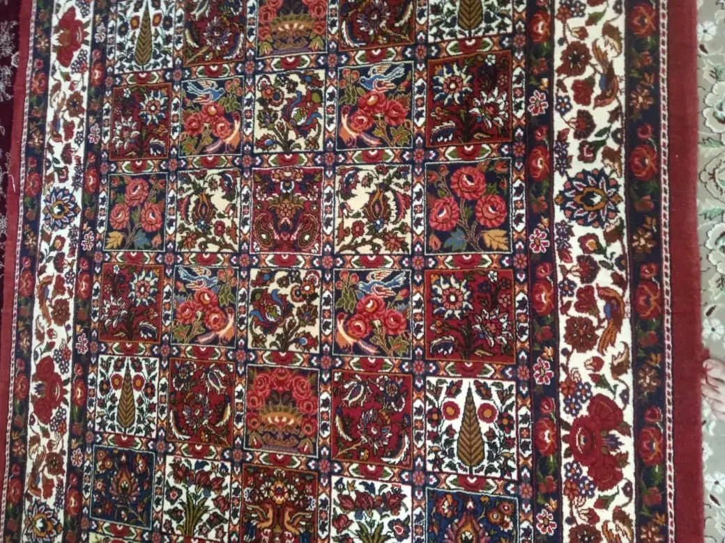 قالی دست بافت|فرش|شهرکرد, |دیوار