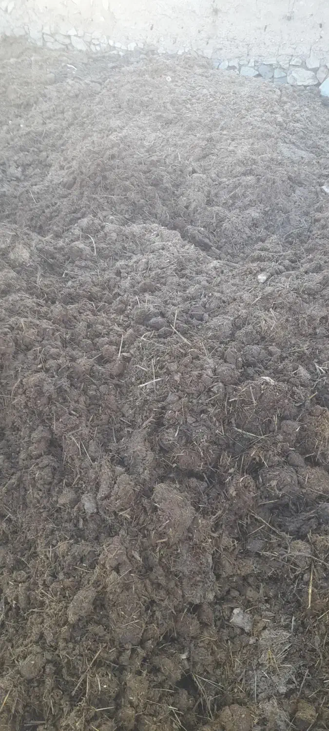 کود حیوانی  .|خدمات باغبانی و درختکاری|کلاترزان, |دیوار