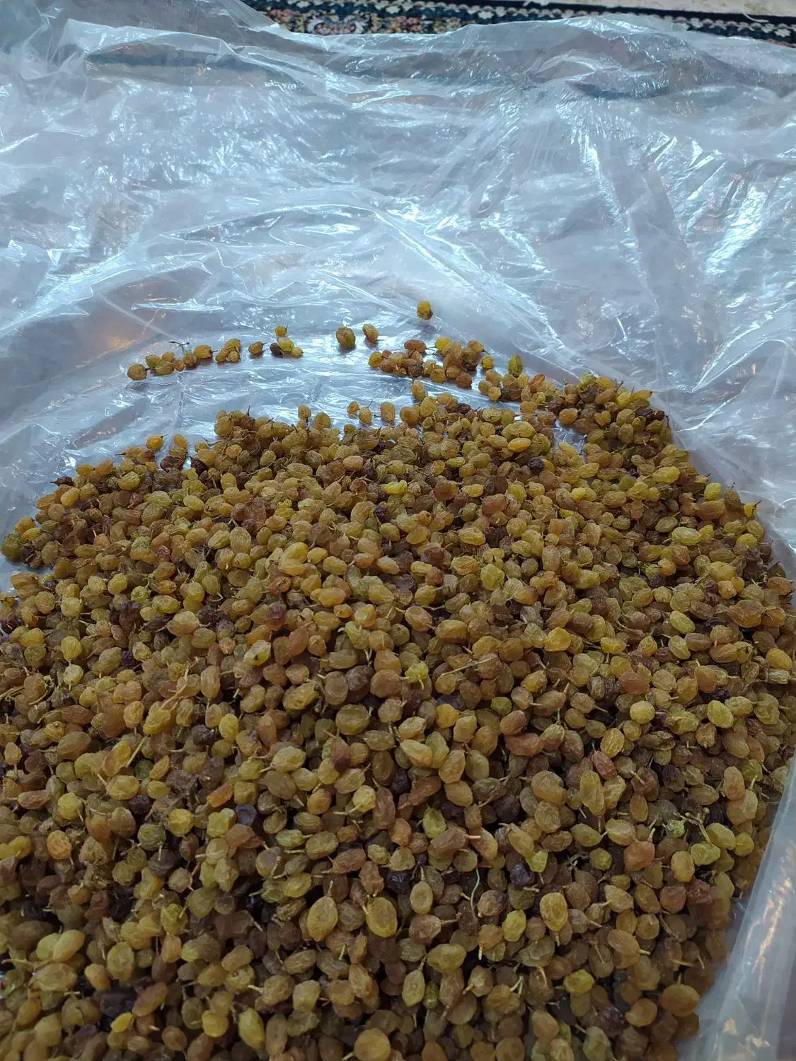 کشمش افتابی ارگانیک|خوردنی و آشامیدنی|قوچان, |دیوار