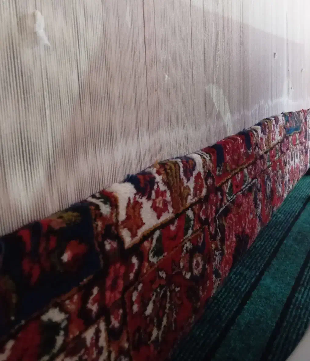 قالی دست باف یک ونیم دونیم خشتی|فرش|شهرکرد, |دیوار