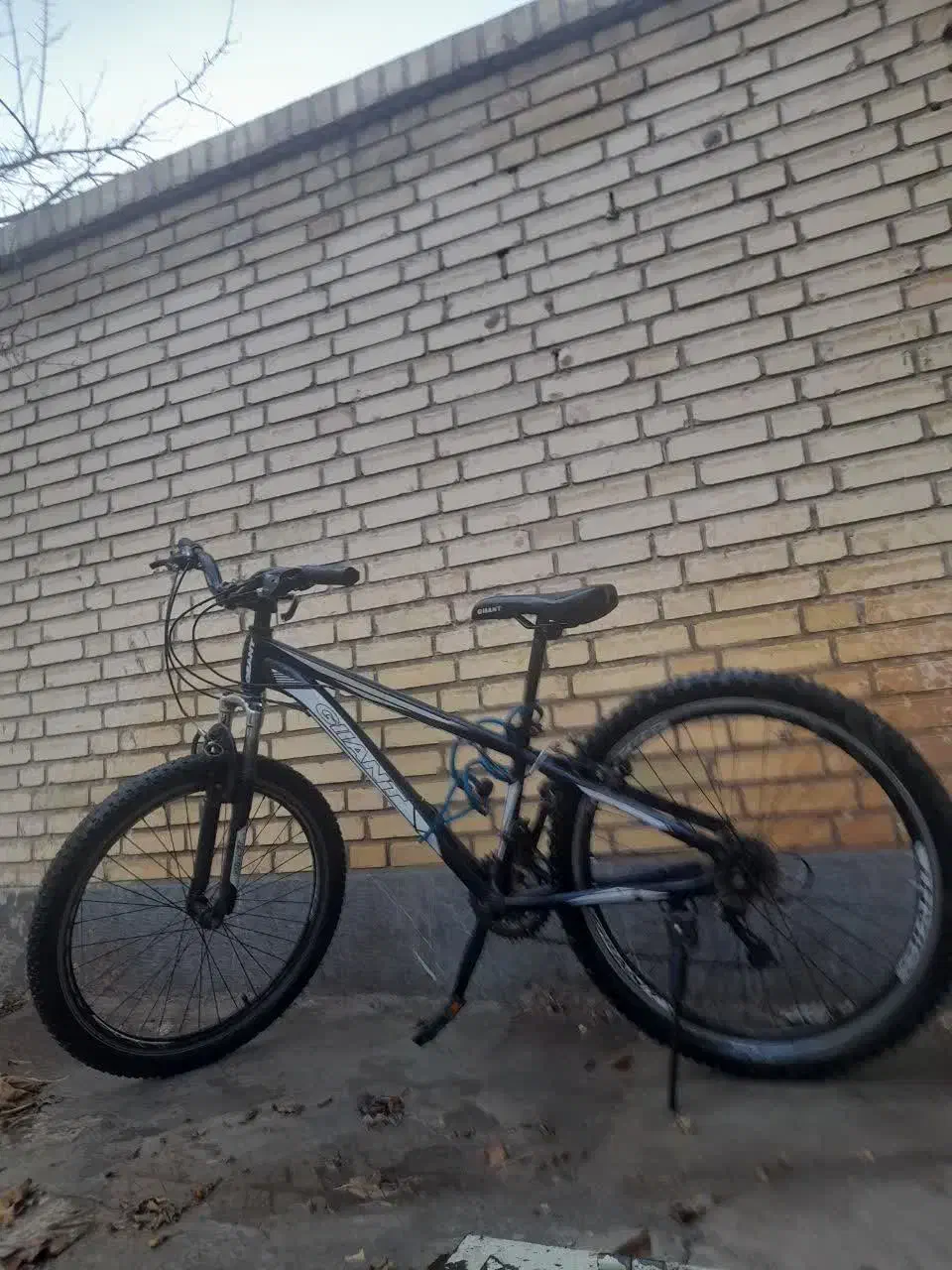 دوچرخه ۲۶|دوچرخه، اسکیت، اسکوتر|فولادشهر, B4|دیوار