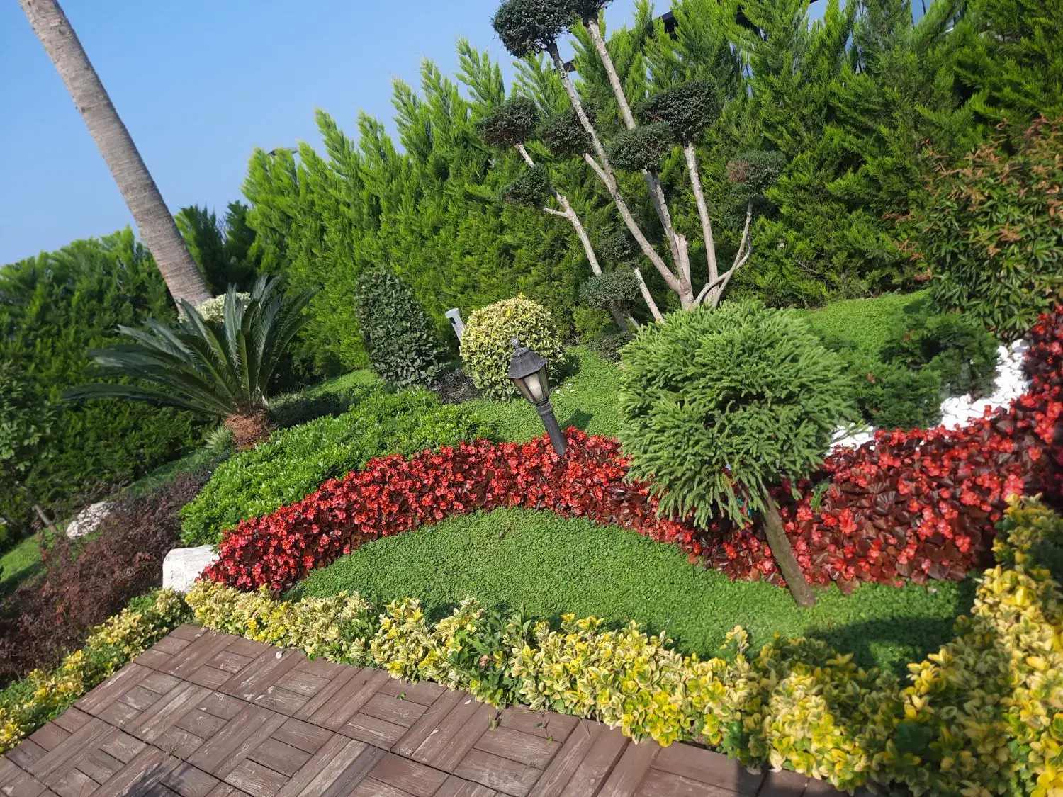 اجرا و طراحی فضای سبز بصورت حرفه ای|خدمات باغبانی و درختکاری|نوشهر, |دیوار