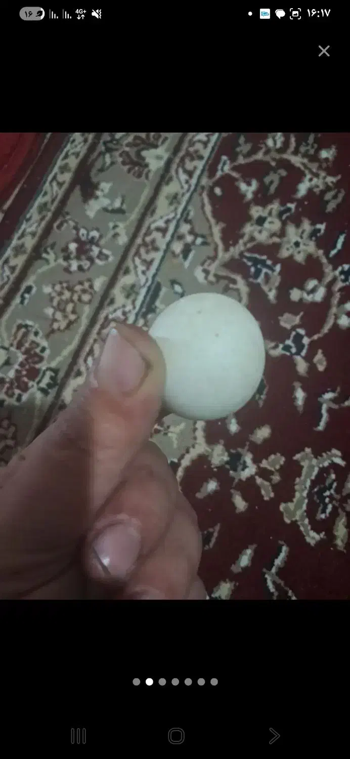 سنگ آسیاب الماس کهنه قدیمی|جواهرات|قم, نیروگاه|دیوار