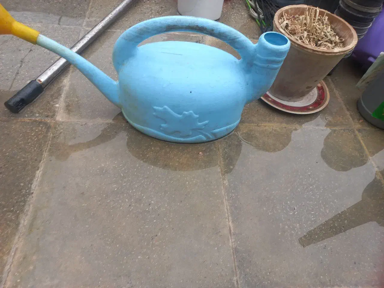 وسایل گل|گل و گیاه طبیعی|شیراز, شهدای شهرک سعدی|دیوار