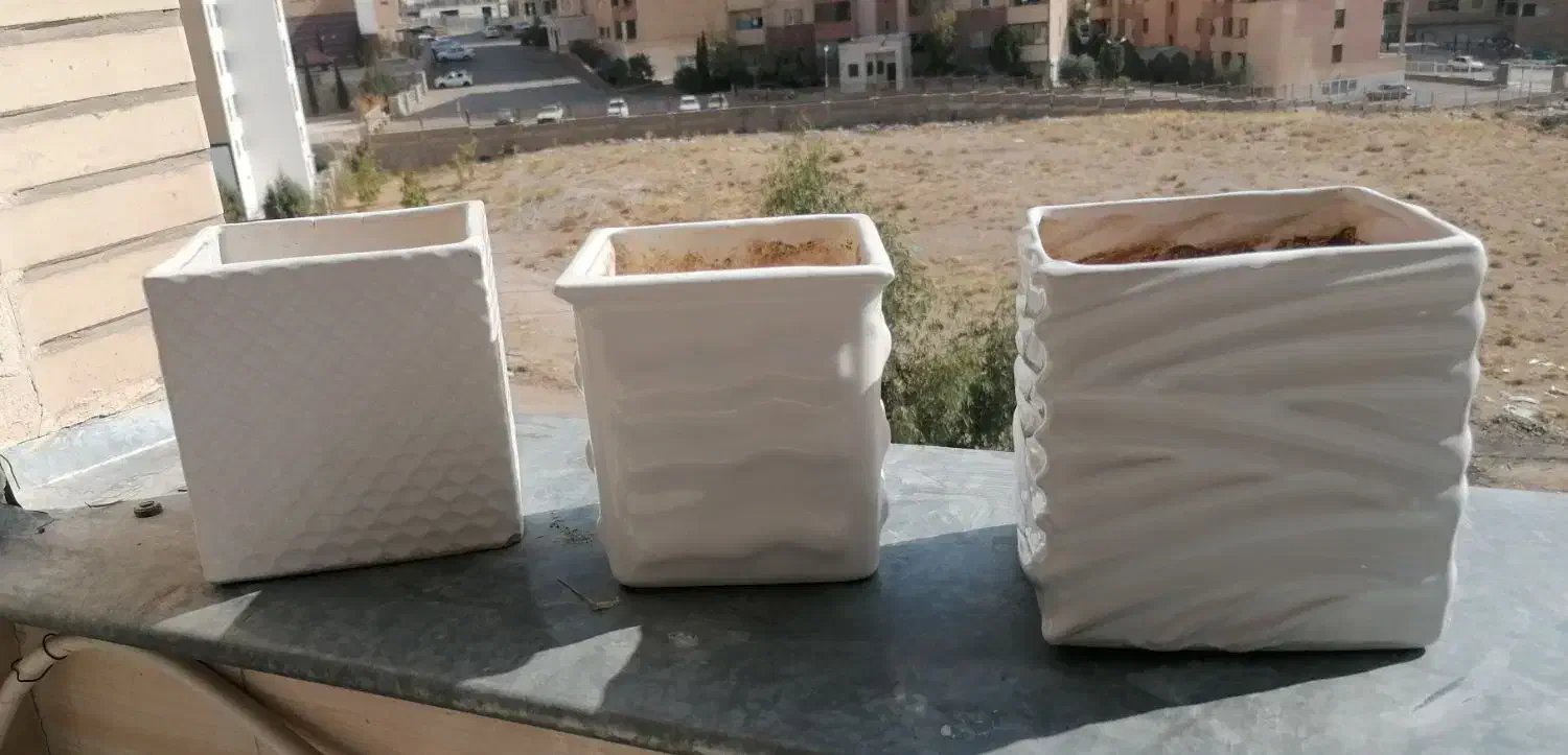 گلدان|گل و گیاه طبیعی|صدرا-فارس, فاز ۱|دیوار