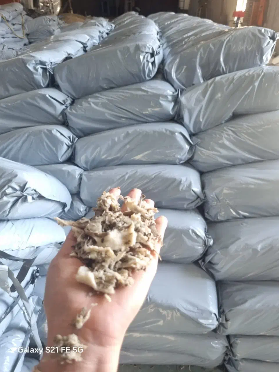 تفاله چقندر مرغوب و مناسب.|عمده‌فروشی|بروجن, |دیوار