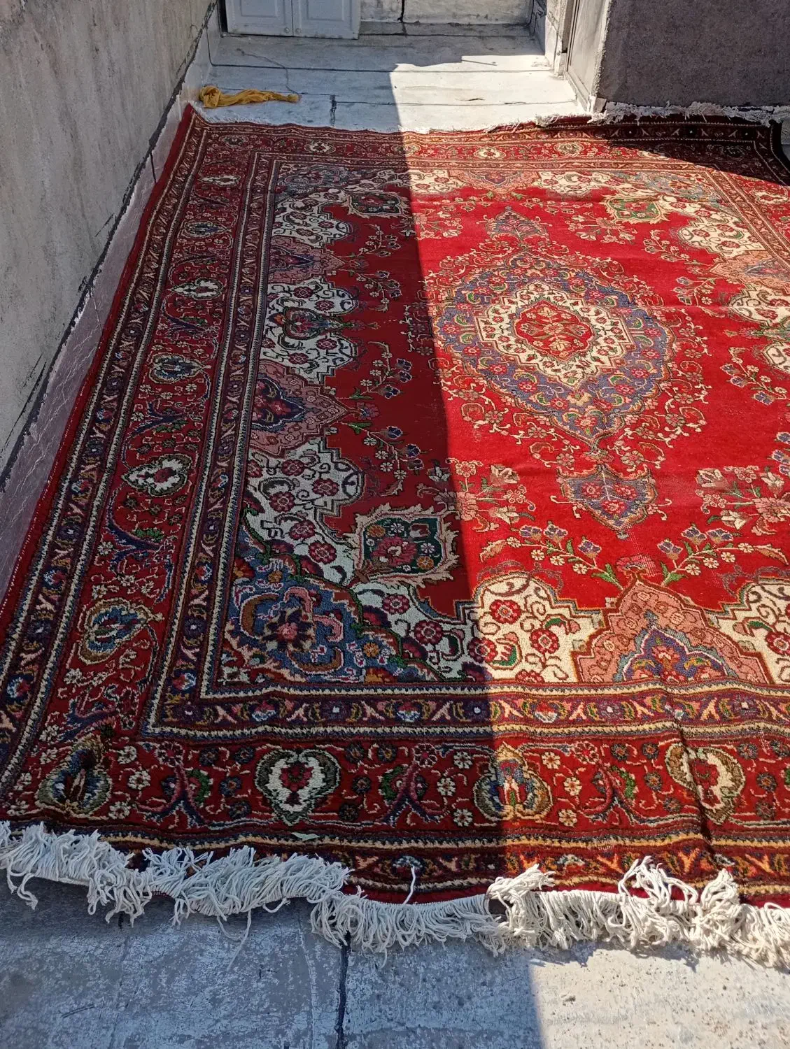 قالی‌‌ پشمی 12متری|فرش|گرگان, |دیوار