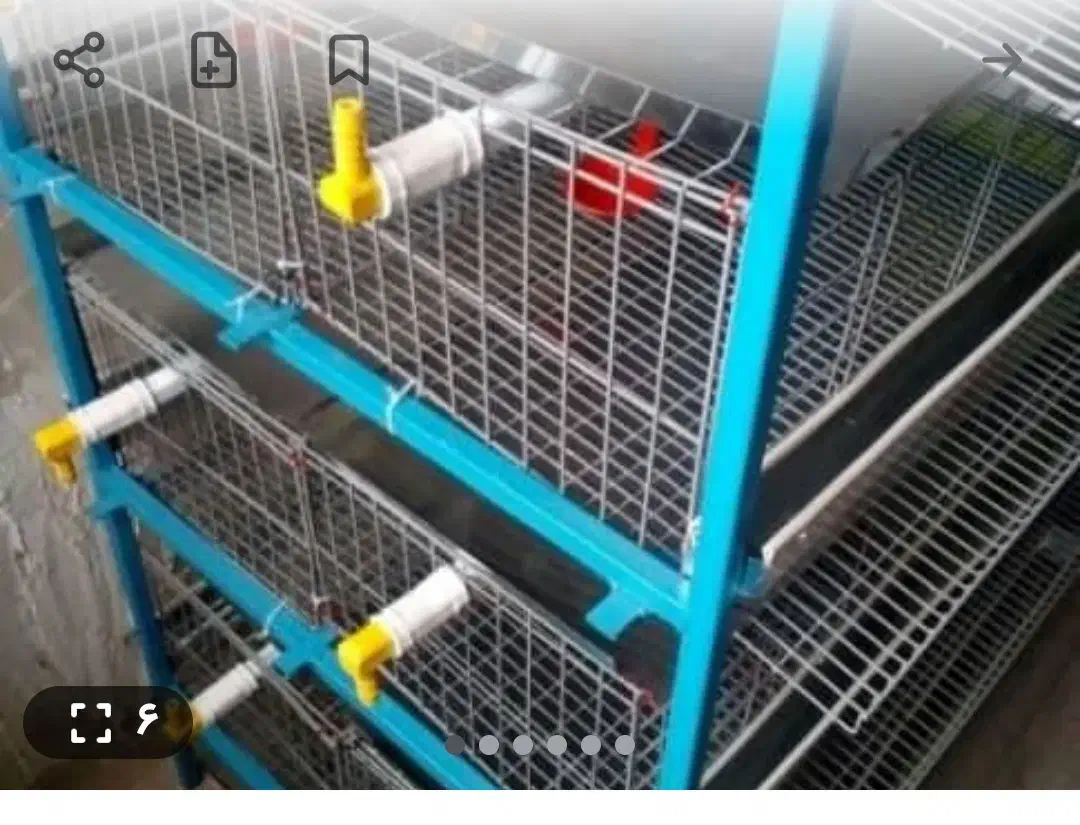 قفس مخصوص بلدرچین و کبوتر ومرغ|لوازم جانبی حیوانات|شنبه و طسوج, |دیوار