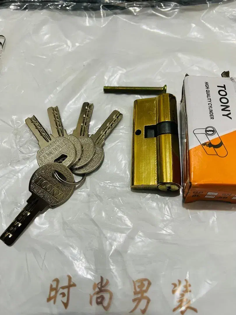 کلید سازی سیار حرفه ای|خدمات پیشه و مهارت|مریوان, |دیوار