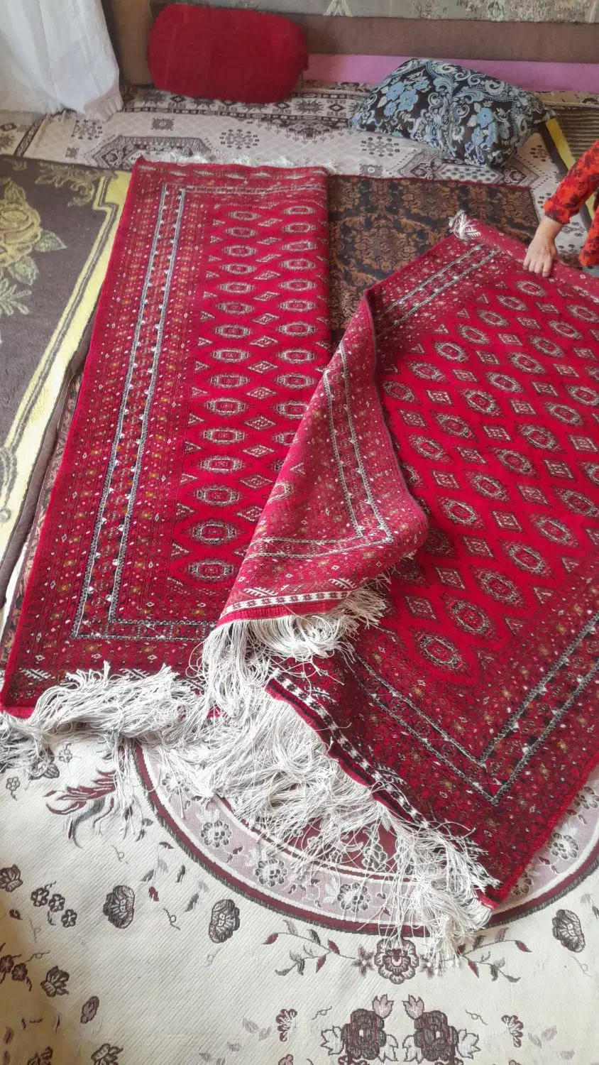 قالی تمام ابریشم ترکمن ابعاد ۱.۳۰ در ۲.۱۰|فرش|بجنورد, |دیوار