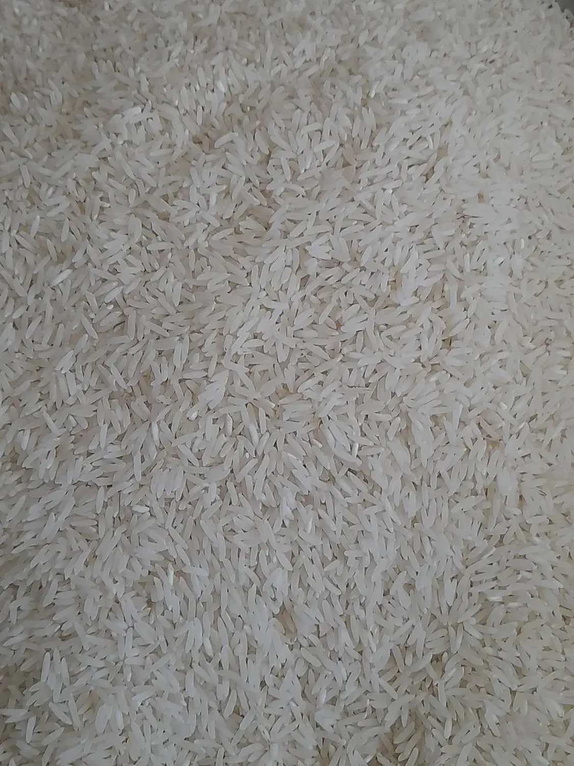 برنج فجر|خوردنی و آشامیدنی|آق قلا, |دیوار