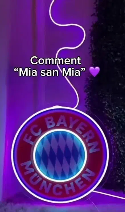 تابلو|ریسه و چراغ تزئینی|بجنورد, |دیوار