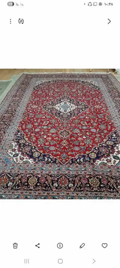 فرش دستباف|فرش|شیراز, فرهنگ شهر|دیوار