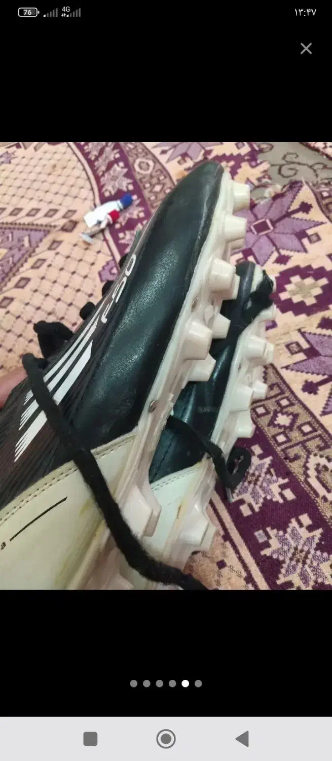 کفش استوک دار|کیف، کفش، کمربند|تایباد, |دیوار